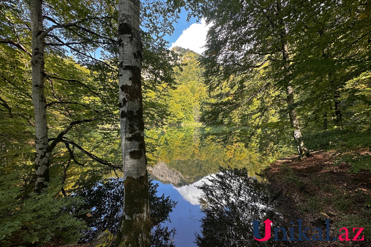 Adı "qara", özü cənnət - FOTOLAR